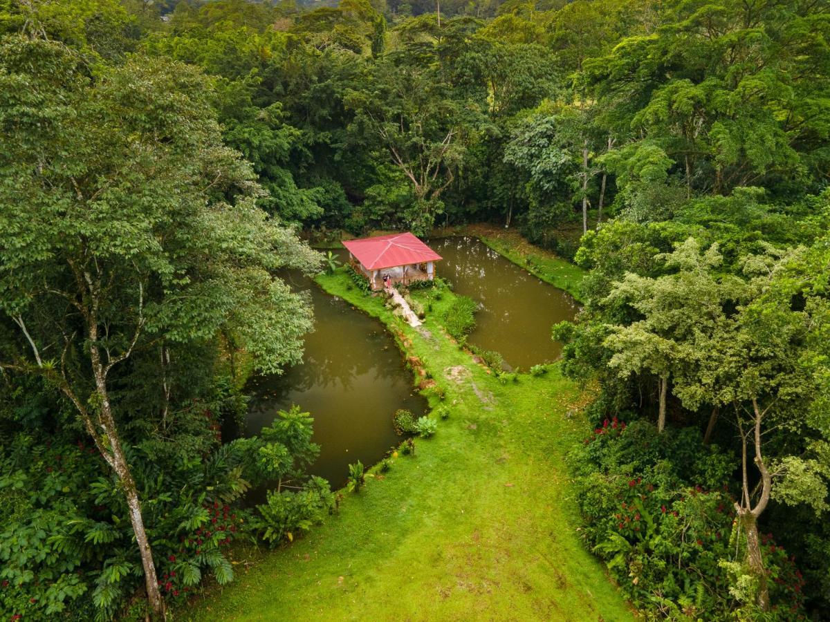 Ara Ambigua Lodge Сарапікі Екстер'єр фото